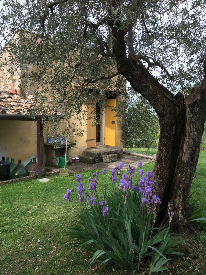 Settignano Tuscany Homes Buitenkant foto